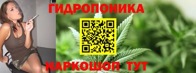 шишки Тула