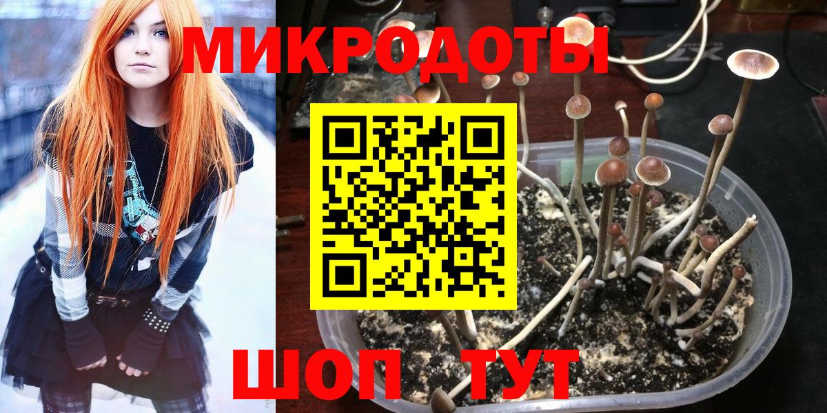 Галлюциногенные грибы ЛСД Бердск