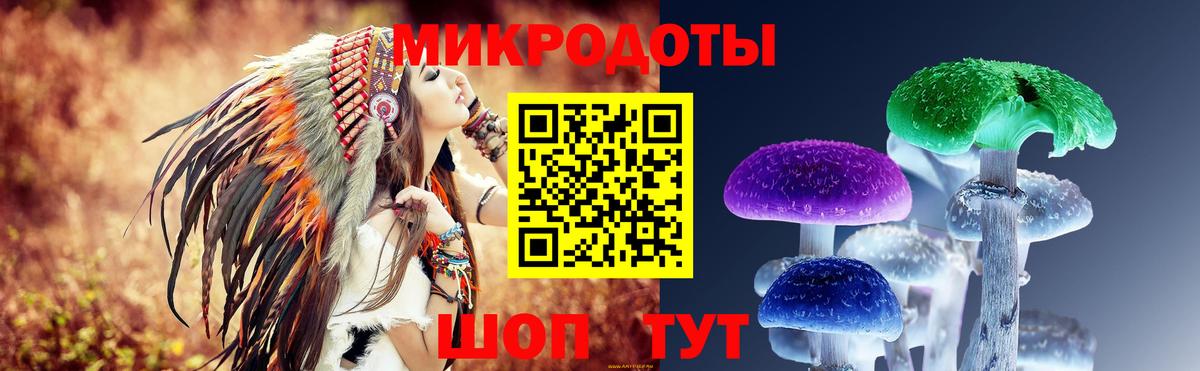 Псилоцибиновые грибы прущие грибы  Вход с VPN  Бердск  Псилоцибиновые грибы Magic Shrooms 